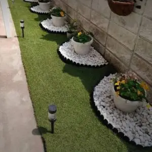بهترین جداکننده فضای سبز